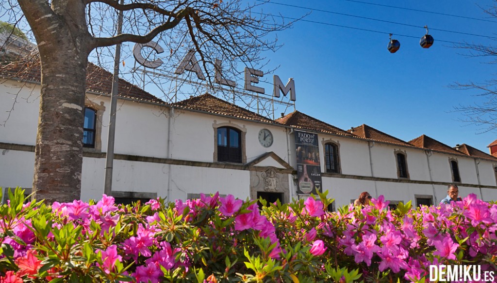 Oporto-(26)-bodega-calem