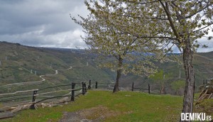 Ladeira da Mata, Bodega de vinos en Manzaneda