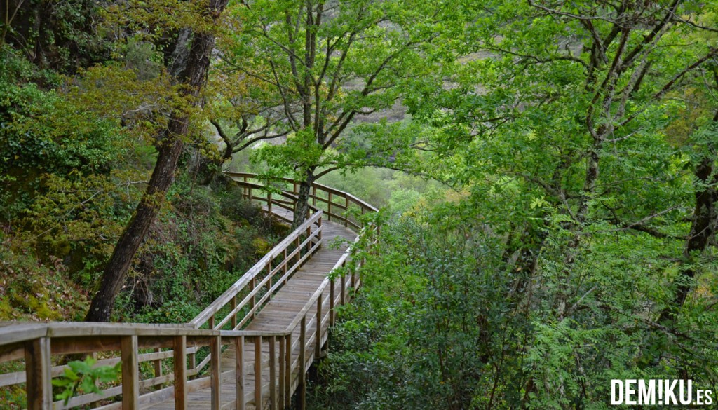 Pasarelas del Rio Mao, en la Ribeira Sacra (Ourense)